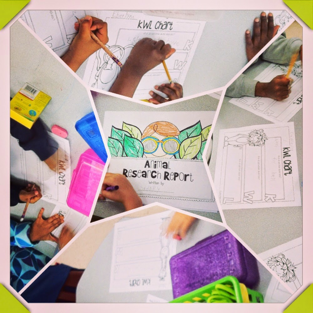 Sweet Kindergarten Animal Research Projects!